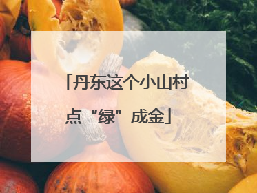 丹东这个小山村点“绿”成金